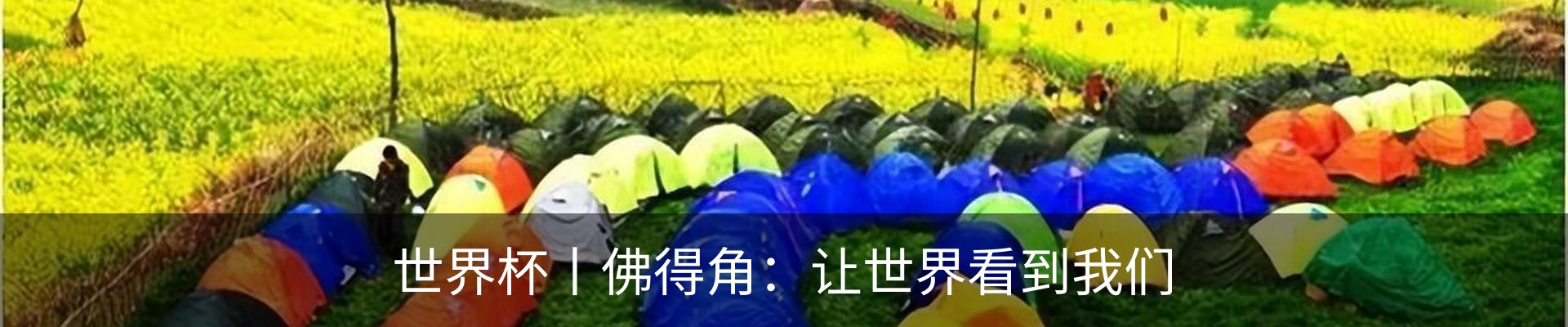 资讯动态
