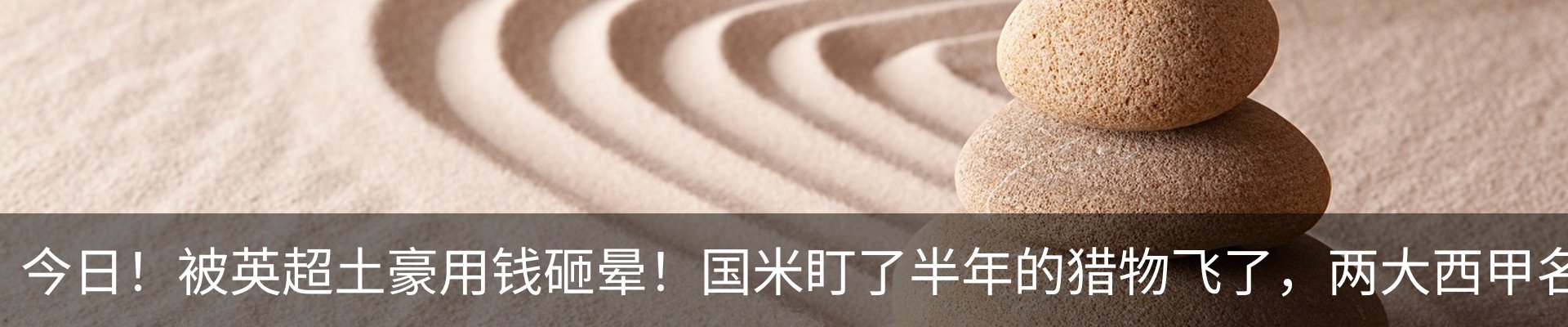 资讯动态