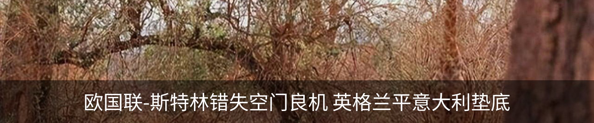 资讯动态